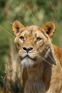 糖質制限で集中力アップするための食事法とは？