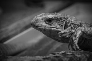 糖質制限を働きながら実践する方法とは？