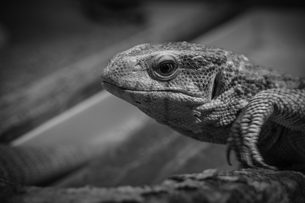 ケトジェニックなモーニングルーティンで一日をスタートする方法は？