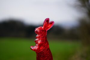 糖質制限ダイエットにおける糖質量の目安は？