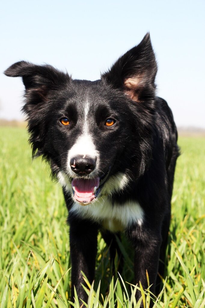 糖質制限が脳の働きに与える悪影響はある？