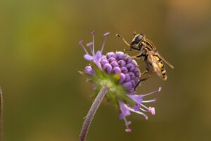 糖質制限の食事プランを比較して、自分に合った最適解はどれ？
