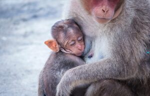 糖質制限は授乳中でも大丈夫？安全な方法と注意点を解説！