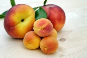 糖質制限は本当に早死にの原因になるの？